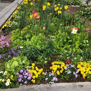 Meet your Posher, Yvette